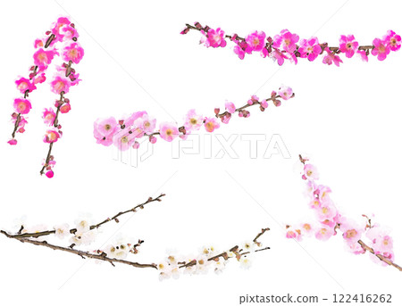 Spring flower illustration material set (plum 2) 122416262