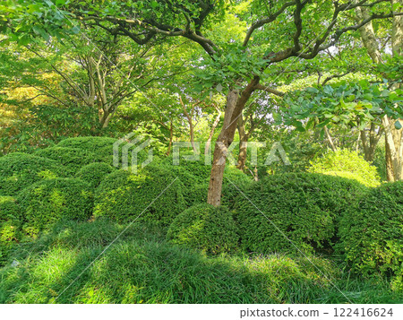 nice spring garden in czech republic 122416624