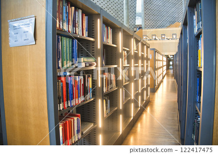 亞歷山大圖書館美麗的內部 亞歷山大圖書館美麗的內部 122417475