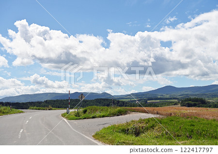 Early summer blue sky and endless road 122417797