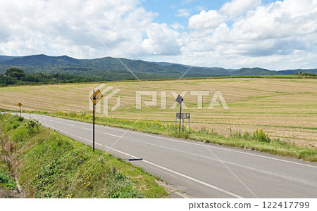 Early summer blue sky and endless road 122417799