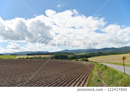 Early summer blue sky and endless road Early summer blue sky and endless road 122417800