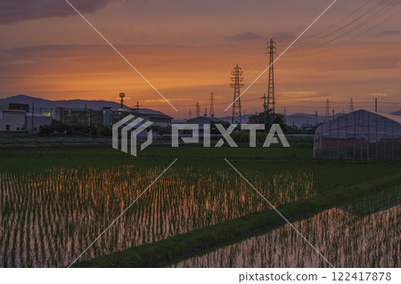 Sunset over rice fields and beautiful sky and clouds 122417878
