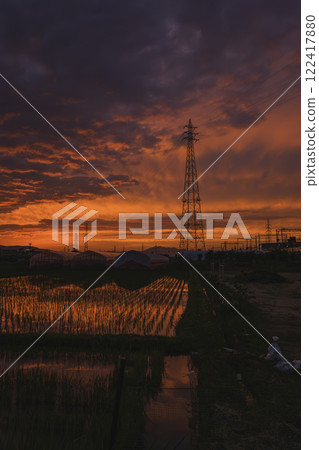 Sunset over rice fields and beautiful sky and clouds 122417880