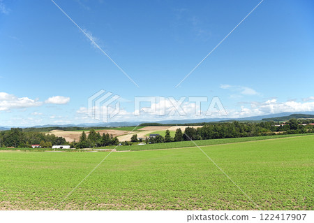 Early summer blue skies and vast fields Early summer blue skies and vast fields 122417907