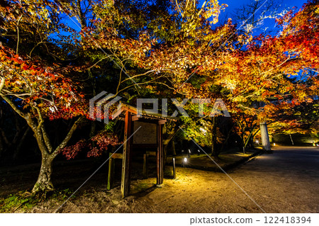 Illumination of autumn leaves at Homangu Kamado Shrine [Dazaifu City, Fukuoka Prefecture] 122418394