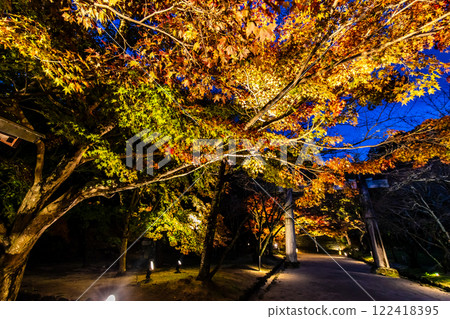 寶滿宮灶門神社的紅葉彩燈【福岡縣太宰府市】 122418395