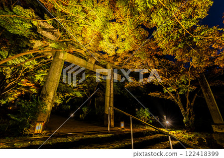 Illumination of autumn leaves at Homangu Kamado Shrine [Dazaifu City, Fukuoka Prefecture] 122418399