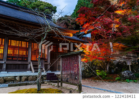 Illumination of autumn leaves at Homangu Kamado Shrine [Dazaifu City, Fukuoka Prefecture] 122418411
