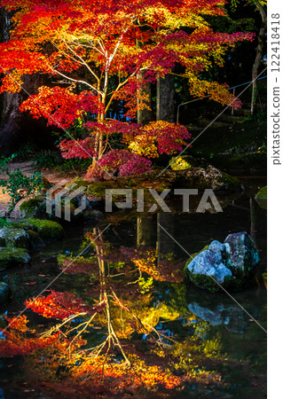 Illumination of autumn leaves at Homangu Kamado Shrine [Dazaifu City, Fukuoka Prefecture] 122418418
