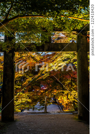 寶滿宮灶門神社的紅葉彩燈【福岡縣太宰府市】 寶滿宮灶門神社的紅葉彩燈【福岡縣太宰府市】 122418420