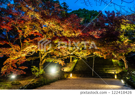 寶滿宮灶門神社的紅葉彩燈【福岡縣太宰府市】 寶滿宮灶門神社的紅葉彩燈【福岡縣太宰府市】 122418426