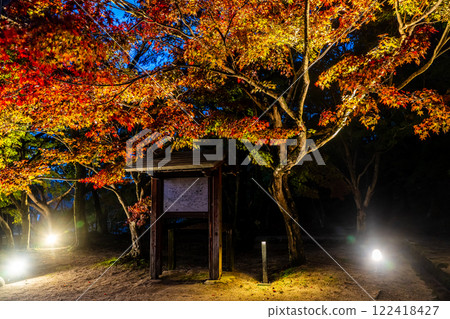 寶滿宮灶門神社的紅葉彩燈【福岡縣太宰府市】 122418427