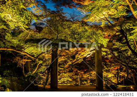 寶滿宮灶門神社的紅葉彩燈【福岡縣太宰府市】 122418431
