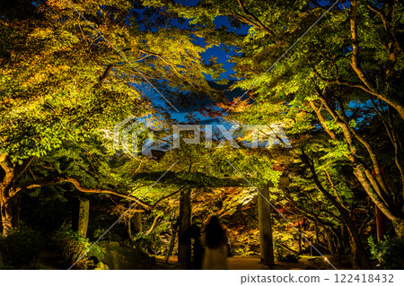 寶滿宮灶門神社的紅葉彩燈【福岡縣太宰府市】 122418432