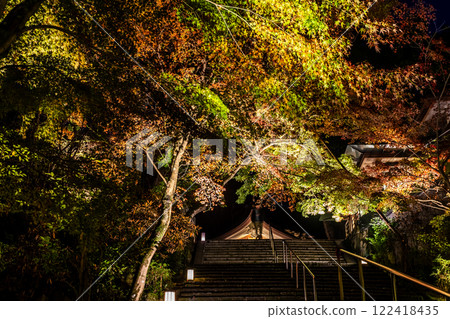 寶滿宮灶門神社的紅葉彩燈【福岡縣太宰府市】 122418435