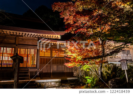 寶滿宮灶門神社的紅葉彩燈【福岡縣太宰府市】 寶滿宮灶門神社的紅葉彩燈【福岡縣太宰府市】 122418439