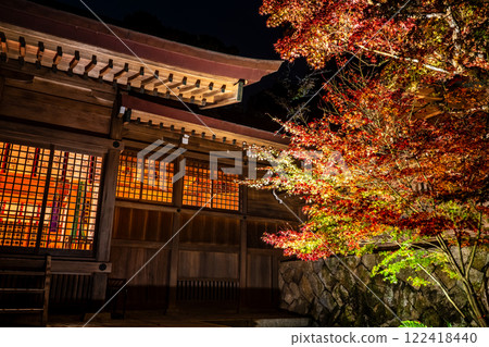 Illumination of autumn leaves at Homangu Kamado Shrine [Dazaifu City, Fukuoka Prefecture] 122418440