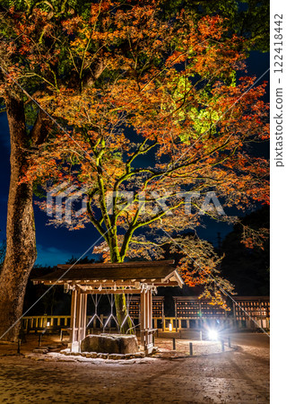 Illumination of autumn leaves at Homangu Kamado Shrine [Dazaifu City, Fukuoka Prefecture] 122418442