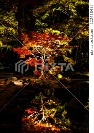 Illumination of autumn leaves at Homangu Kamado Shrine [Dazaifu City, Fukuoka Prefecture] 122418452