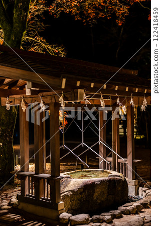 Illumination of autumn leaves at Homangu Kamado Shrine [Dazaifu City, Fukuoka Prefecture] 122418459