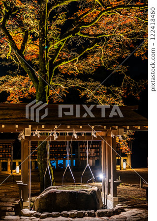 Illumination of autumn leaves at Homangu Kamado Shrine [Dazaifu City, Fukuoka Prefecture] 122418460