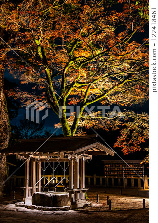 寶滿宮灶門神社的紅葉彩燈【福岡縣太宰府市】 寶滿宮灶門神社的紅葉彩燈【福岡縣太宰府市】 122418461