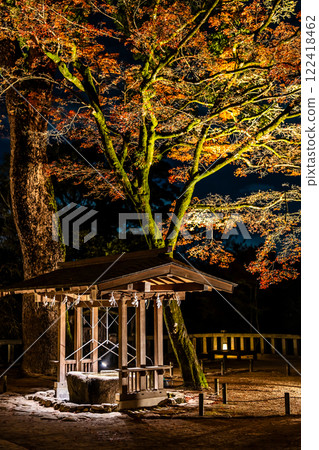 Illumination of autumn leaves at Homangu Kamado Shrine [Dazaifu City, Fukuoka Prefecture] 122418462