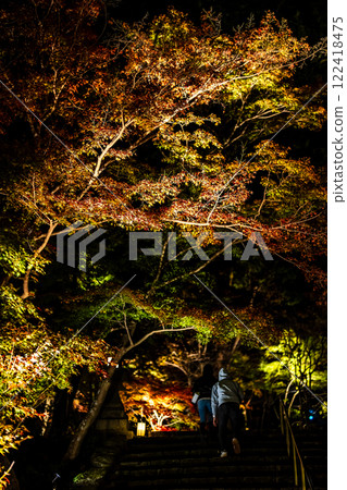 Illumination of autumn leaves at Homangu Kamado Shrine [Dazaifu City, Fukuoka Prefecture] 122418475