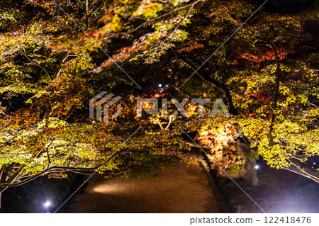 Illumination of autumn leaves at Homangu Kamado Shrine [Dazaifu City, Fukuoka Prefecture] 122418476