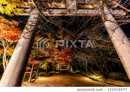 Illumination of autumn leaves at Homangu Kamado Shrine [Dazaifu City, Fukuoka Prefecture] 122418477
