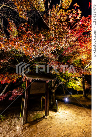 Illumination of autumn leaves at Homangu Kamado Shrine [Dazaifu City, Fukuoka Prefecture] 122418479