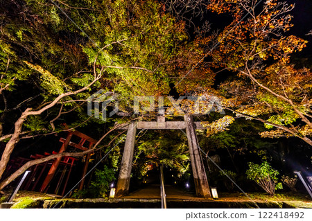Illumination of autumn leaves at Homangu Kamado Shrine [Dazaifu City, Fukuoka Prefecture] 122418492