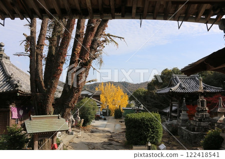 Shikoku Pilgrimage No. 14: Jorakuji Temple Shikoku Pilgrimage No. 14: Jorakuji Temple 122418541