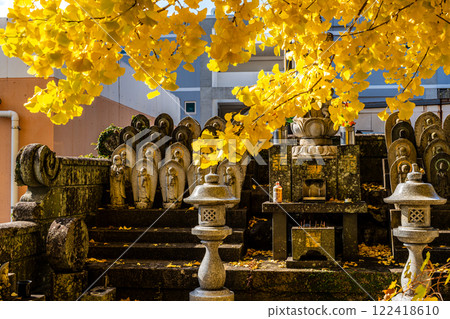Autumn leaves of the large ginkgo tree at Eishoji Temple [Nagasaki City] 122418610