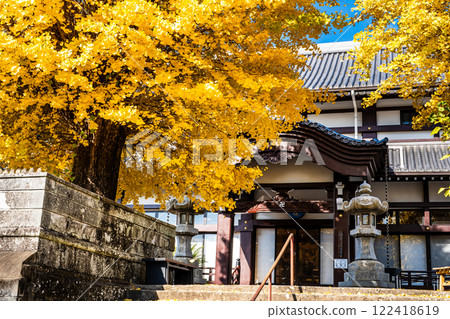 Autumn leaves of the large ginkgo tree at Eishoji Temple [Nagasaki City] 122418619