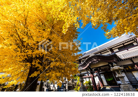 永勝寺大銀杏樹的秋葉【長崎市】 122418638