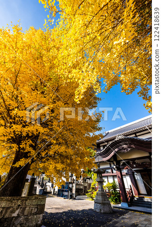 永勝寺大銀杏樹的秋葉【長崎市】 122418639