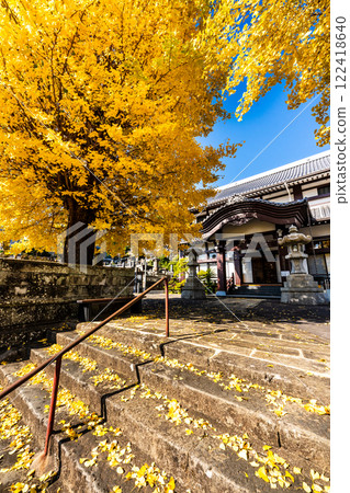 永勝寺大銀杏樹的秋葉【長崎市】 122418640