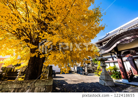永勝寺大銀杏樹的秋葉【長崎市】 122418655
