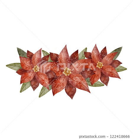 Watercolor composition of poinsettia flowers. Hand drawn illustration on white background for design cards, posters, invitations, tableware, clothes 122418666