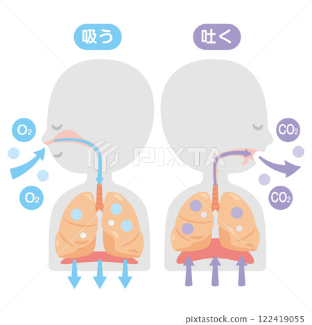 A simple profile illustration of a person breathing 122419055
