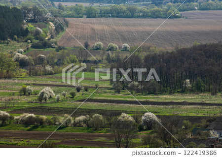 Vibrant spring landscape in Ternopil oblast, Ukraina showcasing blossoming trees and fertile fields under a clear blue sky 122419386