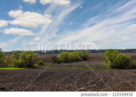 Expansive agricultural landscape with blooming trees under a bright blue sky in spring 122419438