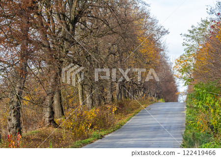 Scenic autumn road lined with trees showcasing vibrant foliage in a rural area Scenic autumn road lined with trees showcasing vibrant foliage in a rural area 122419466