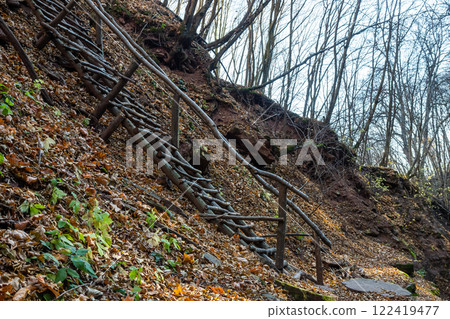 Wooden steps leading down a hillside covered in autumn leaves in a forest during daylight hours Wooden steps leading down a hillside covered in autumn leaves in a forest during daylight hours 122419477