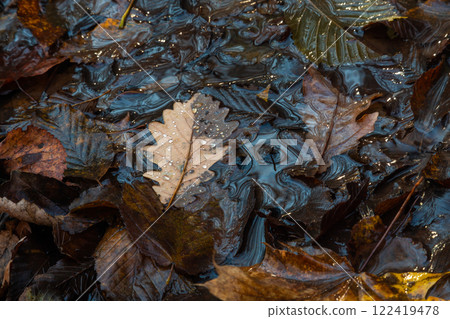 Stream flowing with autumn leaves under rain showcasing vibrant colors and textures in a tranquil natural setting Stream flowing with autumn leaves under rain showcasing vibrant colors and textures in a tranquil natural setting 122419478