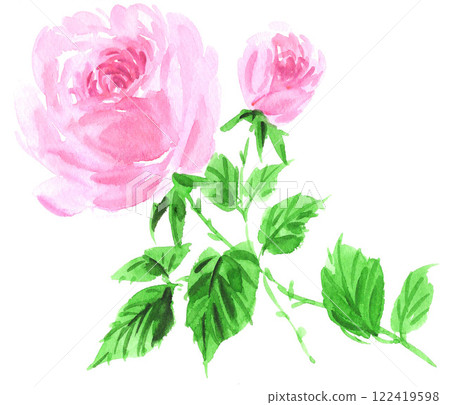 Pink rose painted in watercolor 25129pix7 Pink rose painted in watercolor 25129pix7 122419598