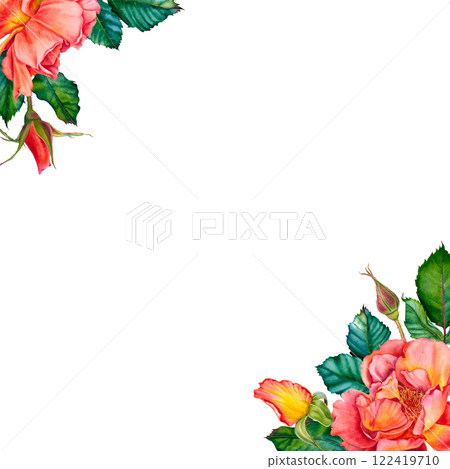 Blank for text with red-yellow roses, buds and leaves in the corner. Watercolor botanical illustration. Hand drawn flowers on Isolated background. Empty space for an inscription. Design for cards. 122419710