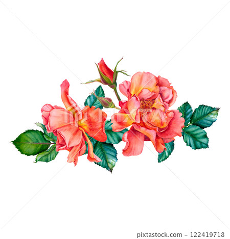 Floral composition of red-yellow roses, buds and leaves. Watercolor botanical illustration. Hand drawn flowers on Isolated background. Use for valentine's day, wedding, birthday cards or invitations. Floral composition of red-yellow roses, buds and leaves. Watercolor botanical illustration. Hand drawn flowers on Isolated background. Use for valentine's day, wedding, birthday cards or invitations. 122419718